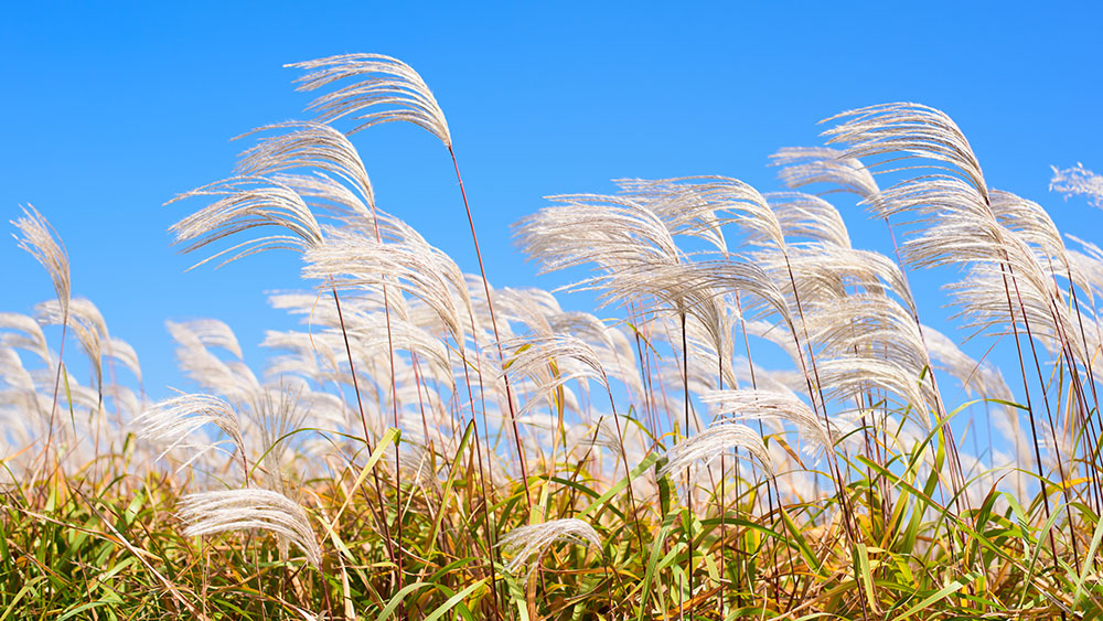 God is quietly inviting you…