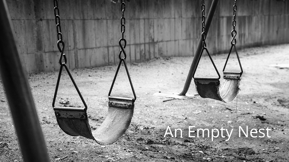 An Empty Nest