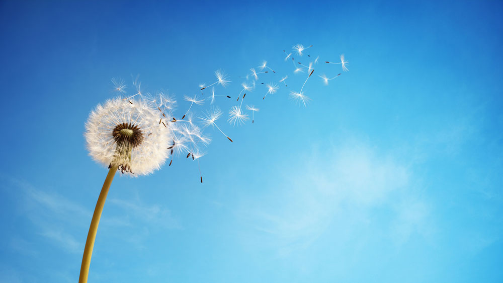 Be still and breathe