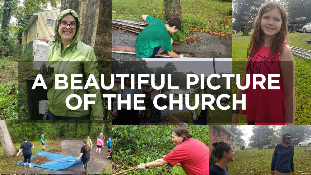 A Beautiful Picture of the Church