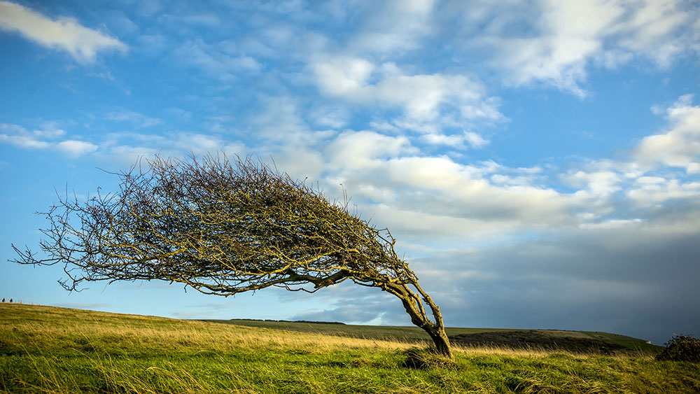 Bending but not breaking…