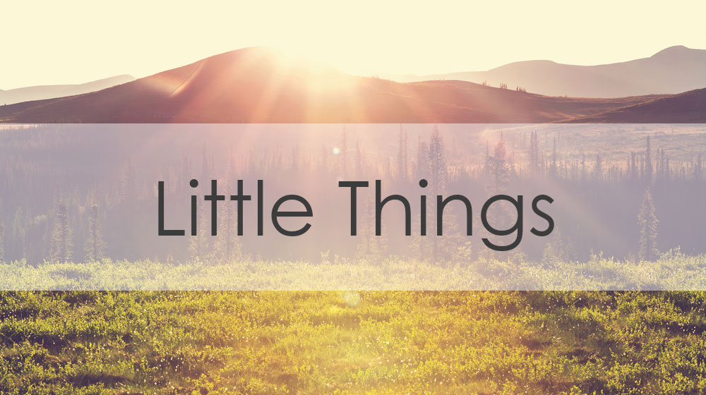 Little Things