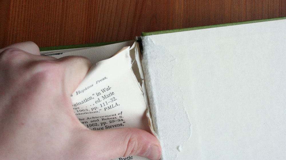 The Danger of the Single Story