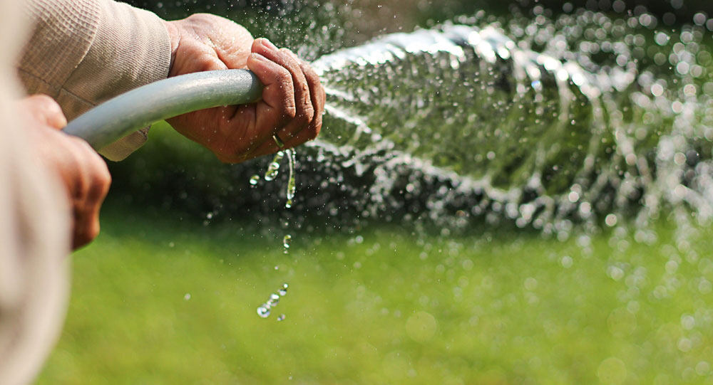 What you water is what will grow.