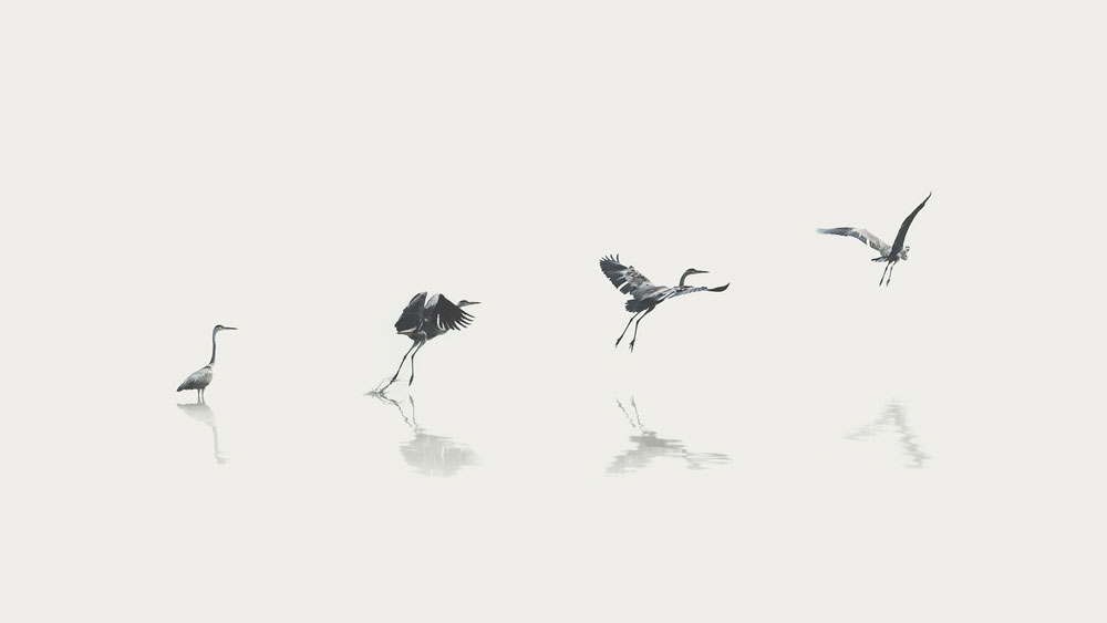 Evolving to What is Next