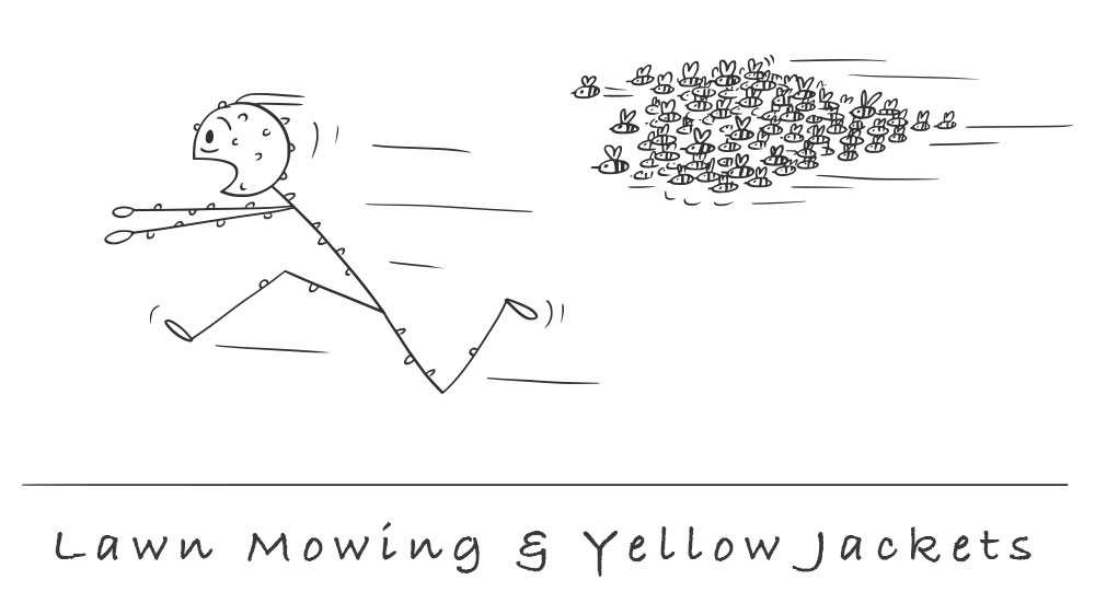 Lawn-Mowing and Yellow-Jackets