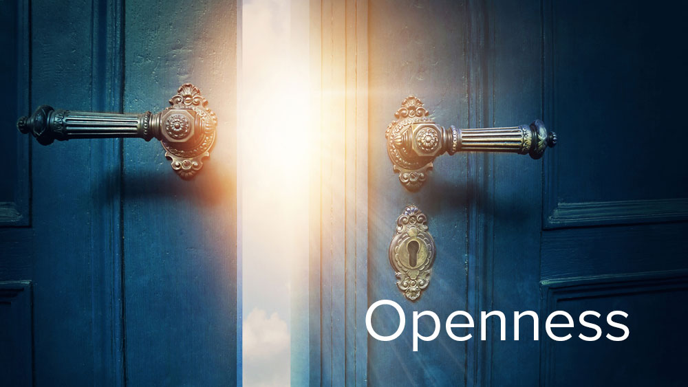 Openness