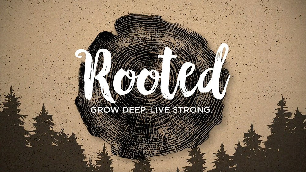 Rooted