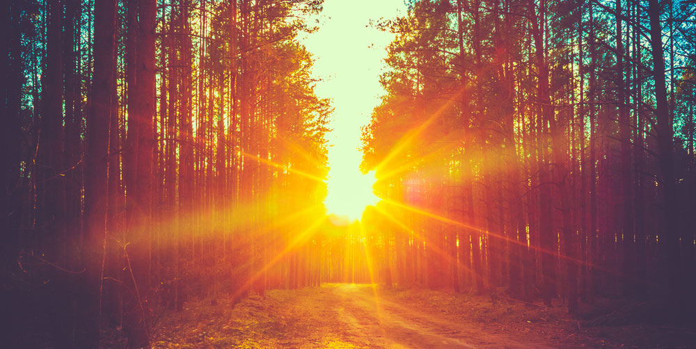 The Ultimate Wow Factor